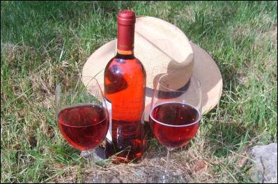 c2a9biowein_wandertour c2a9biowein_wandertour