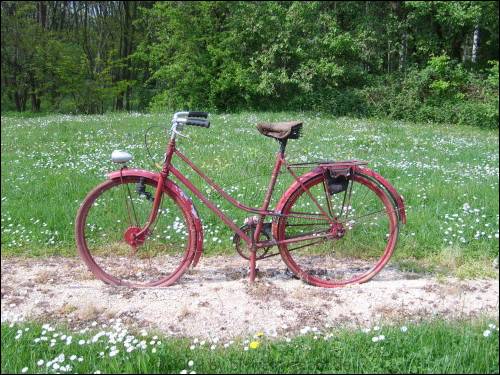 c2a9fahrrad-tour-pfalz c2a9fahrrad-tour-pfalz