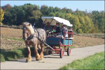 c2a9kutschfahrt c2a9kutschfahrt