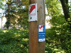 Weinbergswandern Weinwandern und Weinprobe