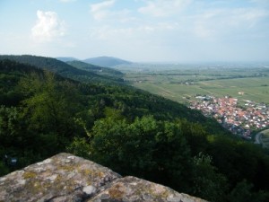 Weinprobe Pfalz Weinprobe auf der Burg Madenburg