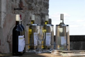 Weinprobe Basics Weinprobe Basics beim Winzer