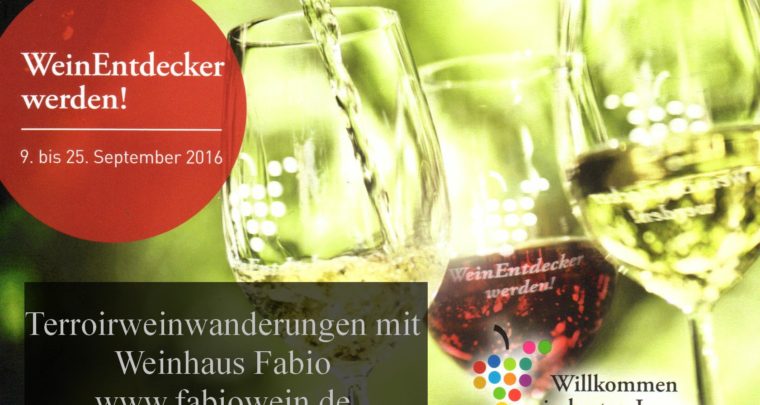 WeinEntdecker werden mit Terroir-Weinwanderung
