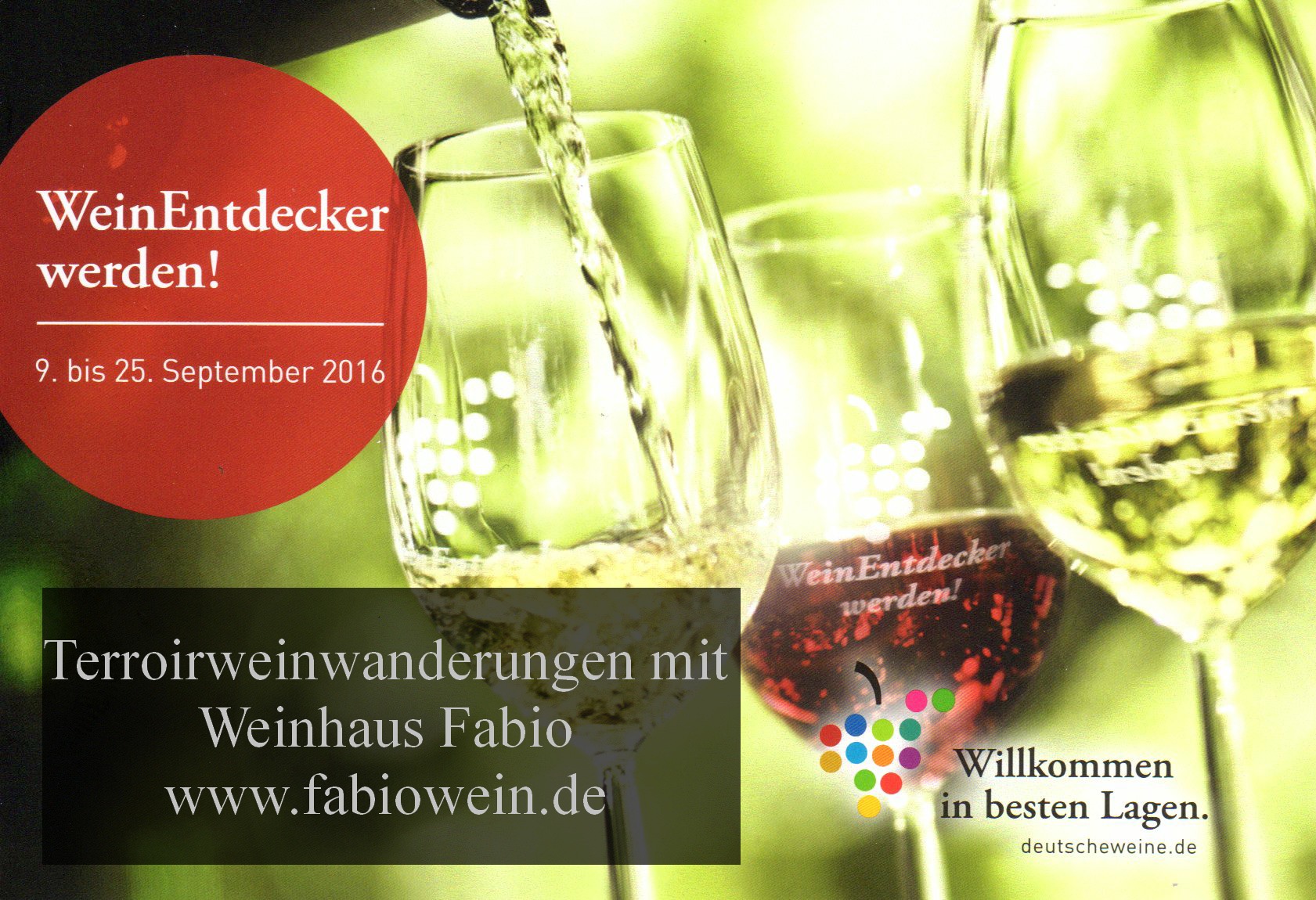 WeinEntdecker werden mit Terroir-Weinwanderung