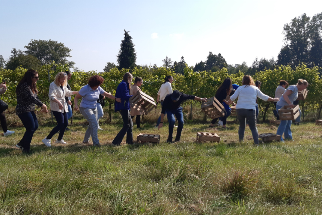 Teambuilding in der Pfalz buchen