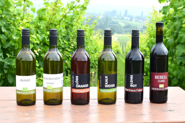 Weinwanderung in der Pfalz