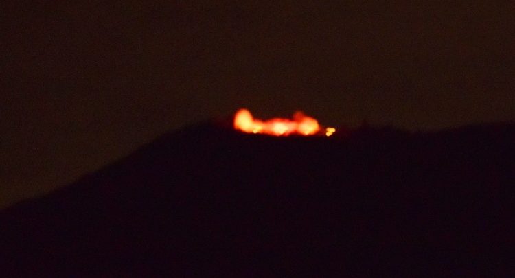 Frühling in der Pfalz: Madenburg rosa verzaubert