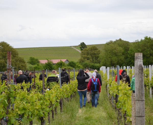 Wandern singles pfalz